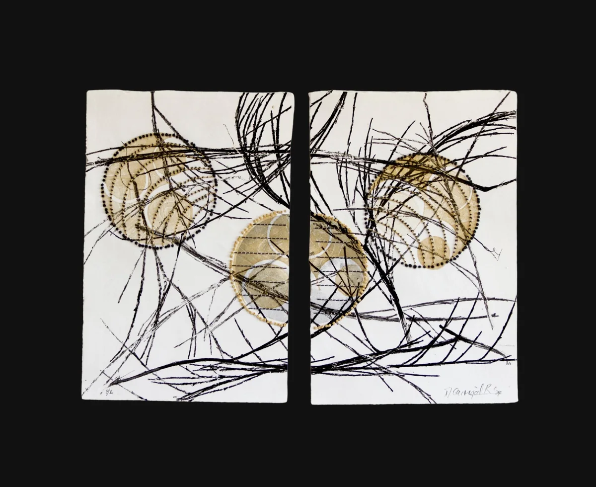 Nido III, serie Nidos, Marcela Carvajal