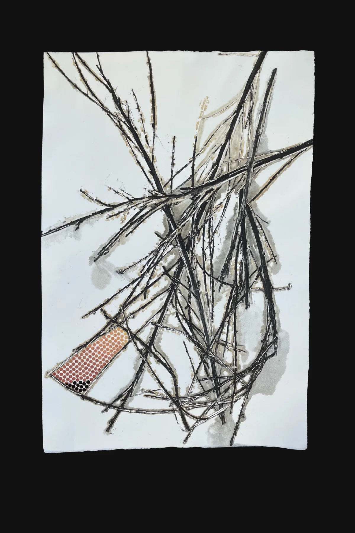 Obra 10, serie Vestigios del Sur, Marcela Carvajal